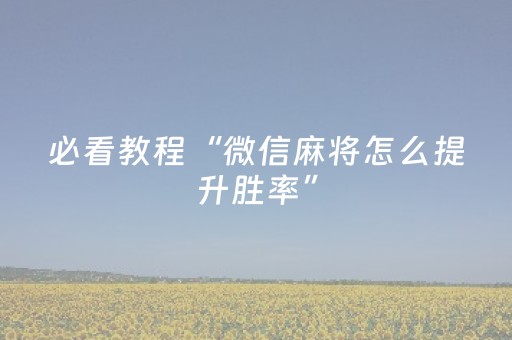 必看教程“微信麻将怎么提升胜率”（详细透视教程）-哔哩哔哩