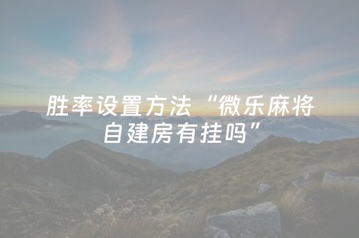 胜率设置方法“微乐麻将自建房有挂吗”（详细透视教程）-哔哩哔哩