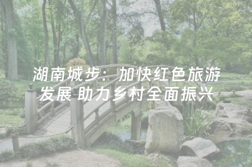 湖南城步：加快红色旅游发展 助力乡村全面振兴