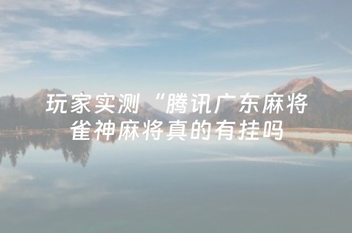 玩家实测“腾讯广东麻将雀神麻将真的有挂吗（助赢神器通用版）