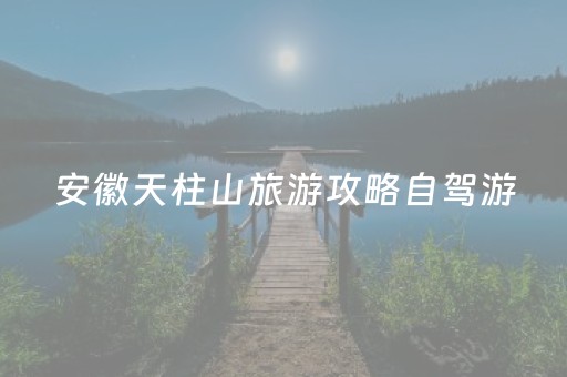 安徽天柱山旅游攻略自驾游（安徽天柱山旅游攻略一日游）
