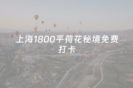 必看教程“哥哥跑得快有挂吗”（详细透视教程）-哔哩哔哩