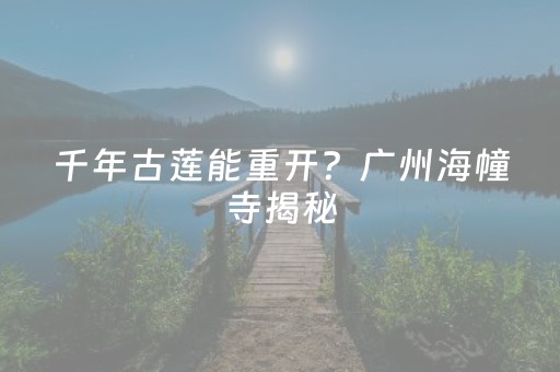 必看教程！“小程序麻将控牌”（详细辅助教程）-哔哩哔哩