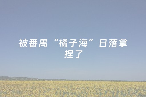 教程辅助“功夫麻将专用神器”（详细透视教程）-哔哩哔哩