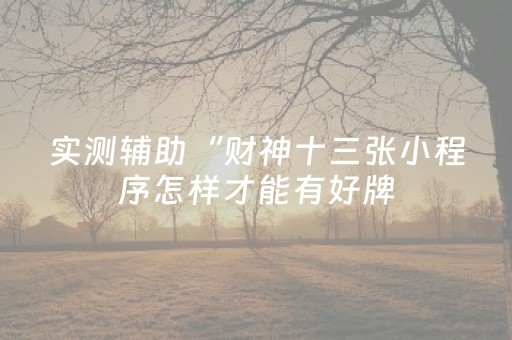 实测辅助“财神十三张小程序怎样才能有好牌（助赢神器通用版）