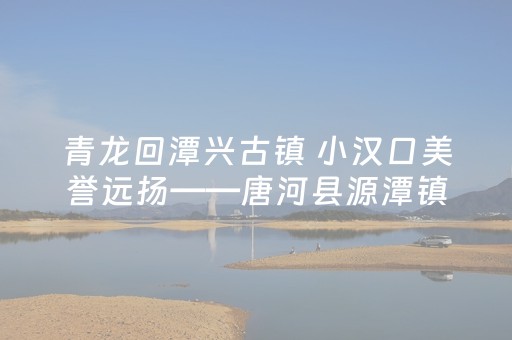 2分钟秒懂！“小程序麻将做弊器是真的吗”（详细透视教程）-哔哩哔哩