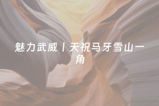 实测分享“雀神广东麻雀提高胜率技巧”（详细辅助教程）-哔哩哔哩