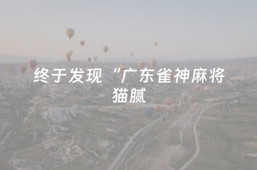 终于发现“广东雀神麻将猫腻（助赢神器通用版）