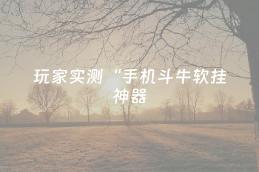 玩家实测“手机斗牛软挂神器（专用辅牌神器免安装）