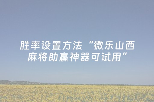 3分钟学会“微信微乐麻将挂件神器”（详细透视教程）-哔哩哔哩