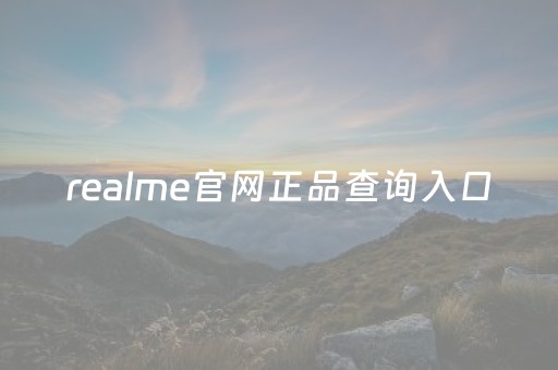 realme官网正品查询入口（realme官网查询真伪入口）