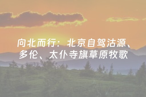 新版本“手机跑得快辅助器”（详细透视教程）-哔哩哔哩