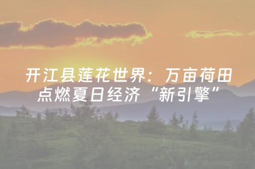 开江县莲花世界：万亩荷田点燃夏日经济“新引擎”