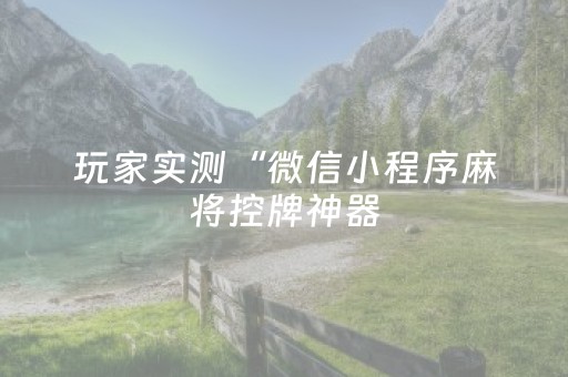 玩家实测“微信小程序麻将控牌神器（助赢神器通用版）