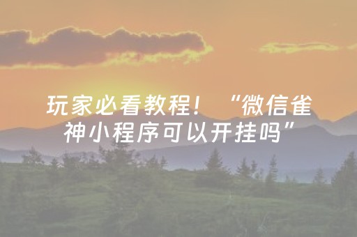 玩家必看教程！“微信雀神小程序可以开挂吗”（详细透视教程）-哔哩哔哩