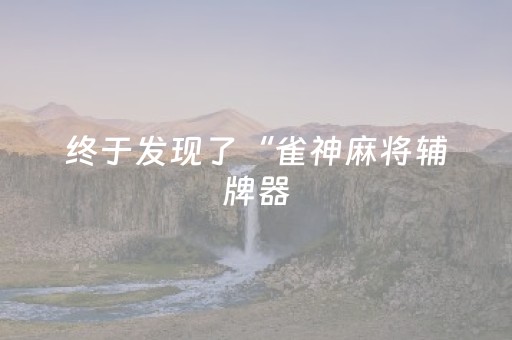 终于发现了“雀神麻将辅牌器（助赢神器通用版）