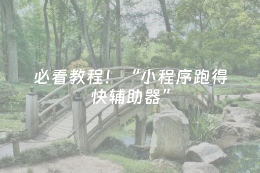 必看教程！“小程序跑得快辅助器”（详细透视教程）-哔哩哔哩