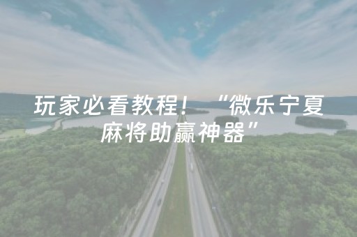 玩家必看教程！“微乐宁夏麻将助赢神器”（详细辅助教程）-哔哩哔哩