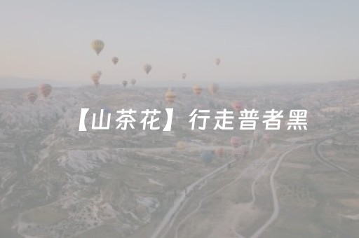 【山茶花】行走普者黑