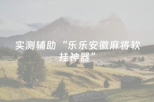 实测辅助“乐乐安徽麻将软挂神器”（详细透视教程）-哔哩哔哩