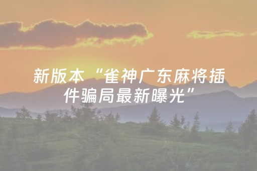 新版本“雀神广东麻将插件骗局最新曝光”（详细透视教程）-哔哩哔哩