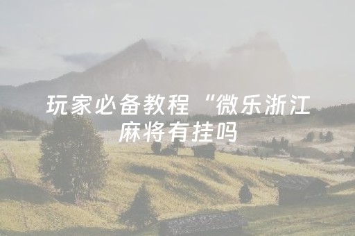 玩家必备教程“微乐浙江麻将有挂吗（助赢神器通用版）