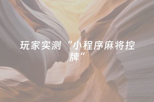 玩家实测“小程序麻将控牌”（详细透视教程）-哔哩哔哩