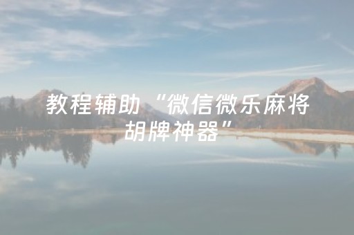 教程辅助“微信微乐麻将胡牌神器”（详细透视教程）-哔哩哔哩