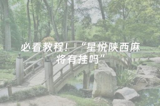必看教程！“星悦陕西麻将有挂吗”（详细开挂教程）-哔哩哔哩