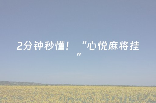2分钟秒懂！“心悦麻将挂”（详细开挂教程）-哔哩哔哩