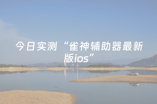 今日实测“雀神辅助器最新版ios”（详细辅助教程）-哔哩哔哩