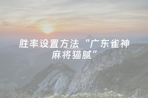胜率设置方法“广东雀神麻将猫腻”（详细透视教程）-哔哩哔哩
