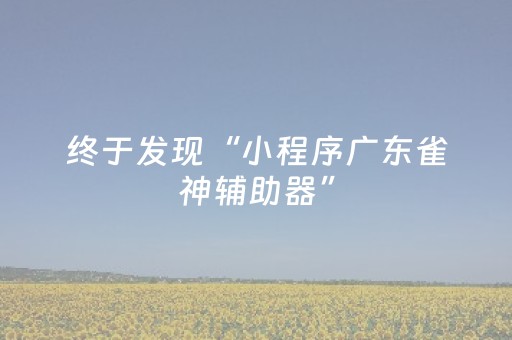 终于发现“小程序广东雀神辅助器”（详细透视教程）-哔哩哔哩
