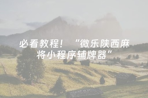 必看教程！“微乐陕西麻将小程序辅牌器”（详细透视教程）-哔哩哔哩