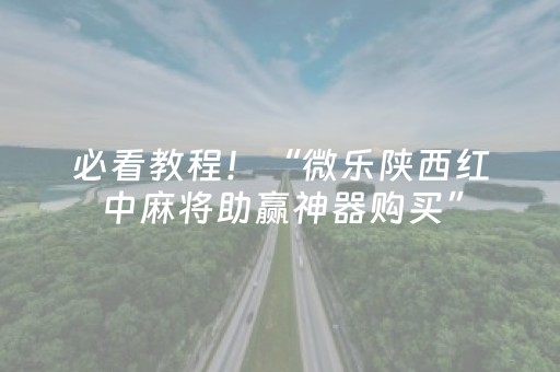 必看教程！“微乐陕西红中麻将助赢神器购买”（详细辅助教程）-哔哩哔哩