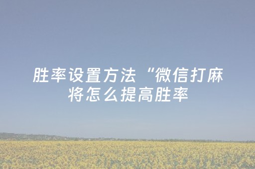 胜率设置方法“微信打麻将怎么提高胜率（助赢神器通用版）