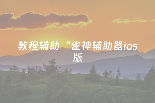 教程辅助“雀神辅助器ios版（助赢神器通用版）