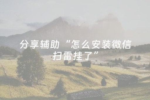 分享辅助“怎么安装微信扫雷挂了”（详细透视教程）-哔哩哔哩