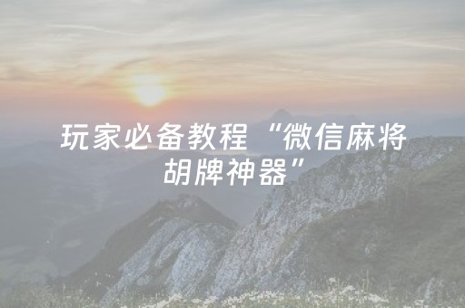 玩家必备教程“微信麻将胡牌神器”（详细透视教程）-哔哩哔哩