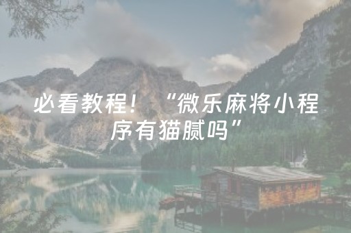 必看教程！“微乐麻将小程序有猫腻吗”（详细辅助教程）-哔哩哔哩