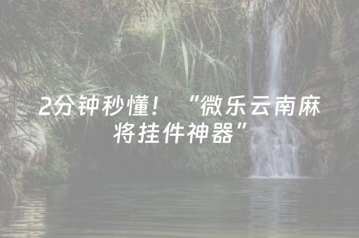 2分钟秒懂！“微乐云南麻将挂件神器”（详细透视教程）-哔哩哔哩