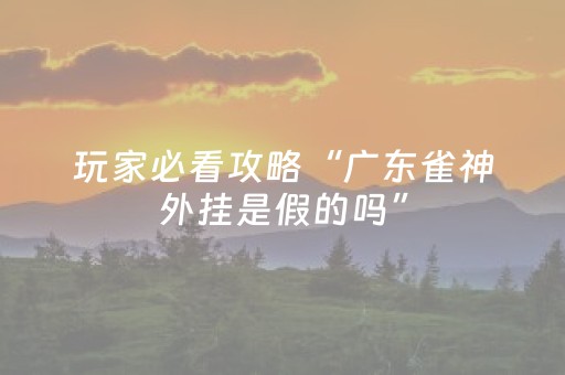 玩家必看攻略“广东雀神外挂是假的吗”（详细透视教程）-哔哩哔哩