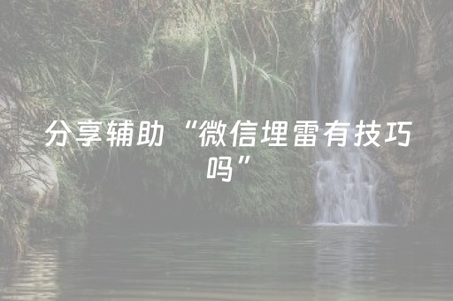 分享辅助“微信埋雷有技巧吗”（详细透视教程）-哔哩哔哩