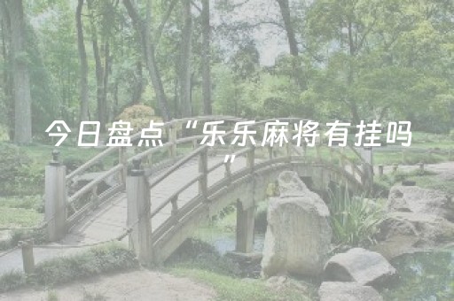 今日盘点“乐乐麻将有挂吗”（详细辅助教程）-哔哩哔哩
