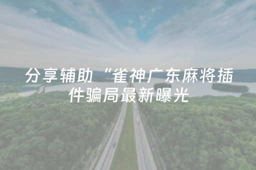 分享辅助“雀神广东麻将插件骗局最新曝光（专用辅牌神器免安装）