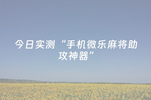 今日实测“手机微乐麻将助攻神器”（详细透视教程）-哔哩哔哩
