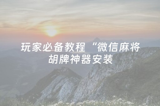 玩家必备教程“微信麻将胡牌神器安装（助赢神器通用版）