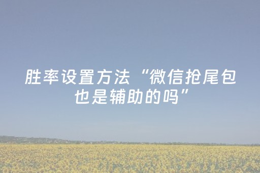胜率设置方法“微信抢尾包也是辅助的吗”（详细透视教程）-哔哩哔哩