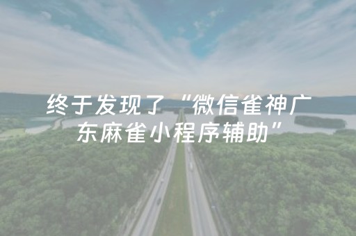 终于发现了“微信雀神广东麻雀小程序辅助”（详细透视教程）-哔哩哔哩