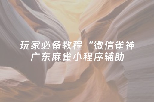 玩家必备教程“微信雀神广东麻雀小程序辅助（助赢神器通用版）